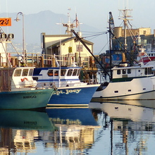 SF Fishing boats