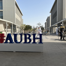 American University of Bahrain AUBH